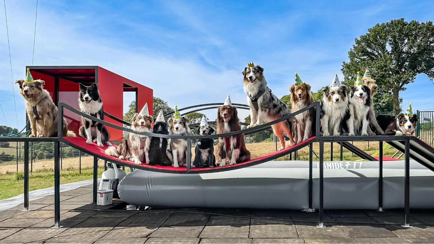 Centre de Loisirs Canin, Rassemblement de race, Privatisation du centre, Garderie