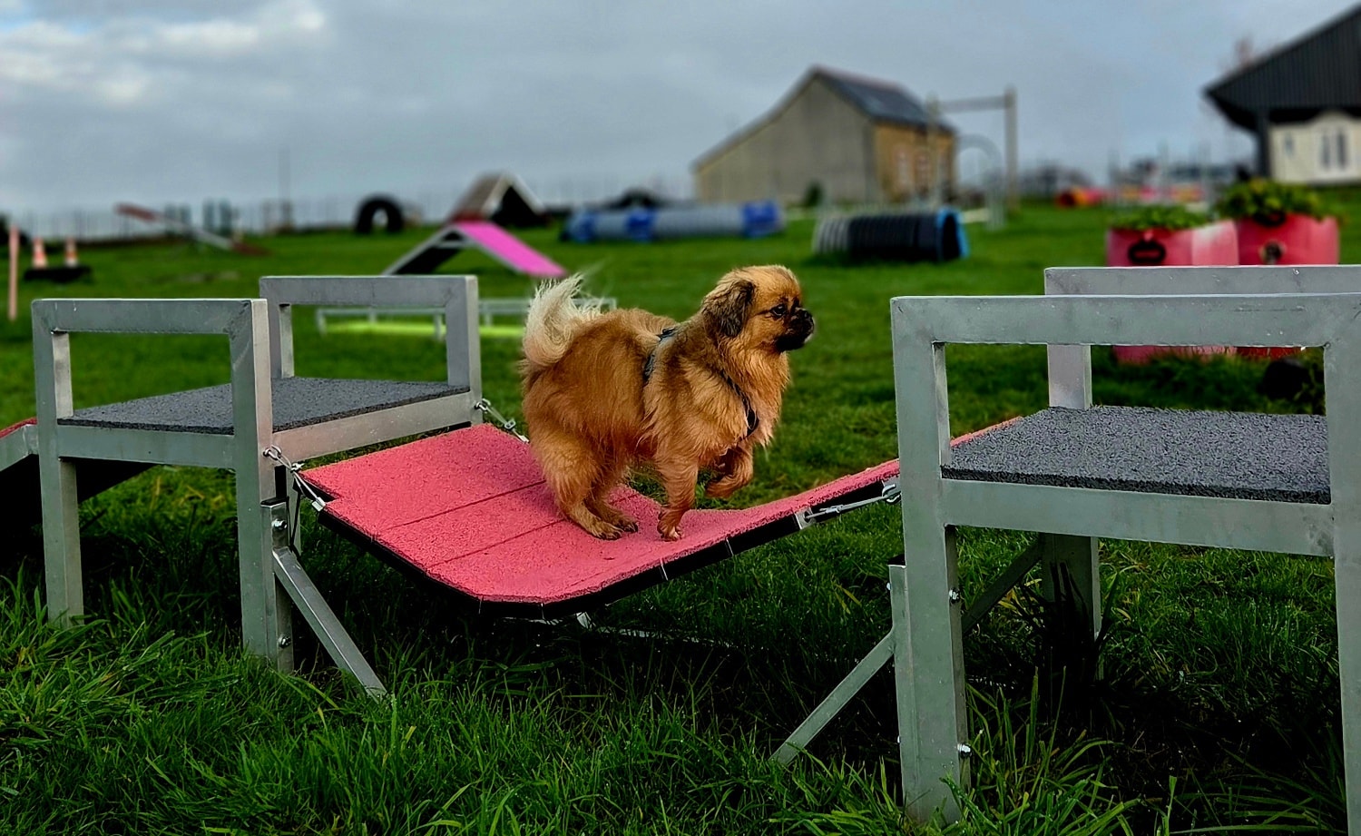 Privatiser le centre