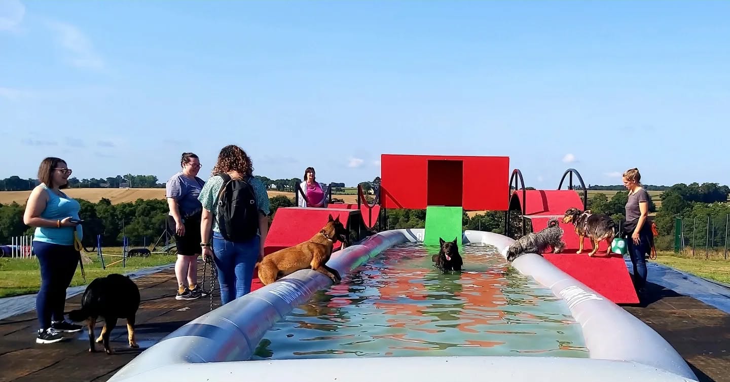 Agility/Loisirs La recrée des chiens